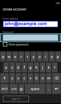 Fill "Password" field with the password of the email address you are adding.